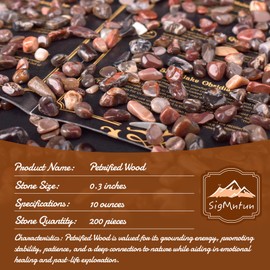 SigMntun SigMntun Polished Petrified Wood Crystal Chips 200 Pcs - 0.3" 10 oz Tumbled Stone Chips Crushed Sea Glass Stones Healing Reiki Crystal Making Home Decoration