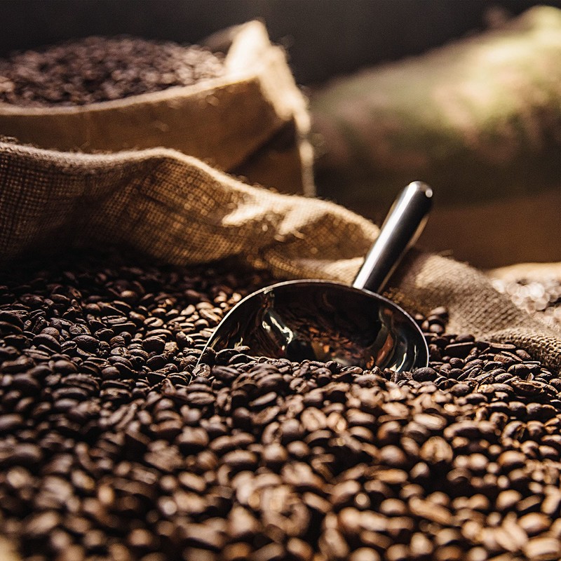 Green Mountain Coffee Roasters, French Roast, Ground Coffee, Dark Roast,