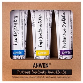 Anwen Zestaw 3 Odóywek Do Porowatoşci Wysokiej, 3 x 100 ml