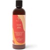 JBCO Shampoo