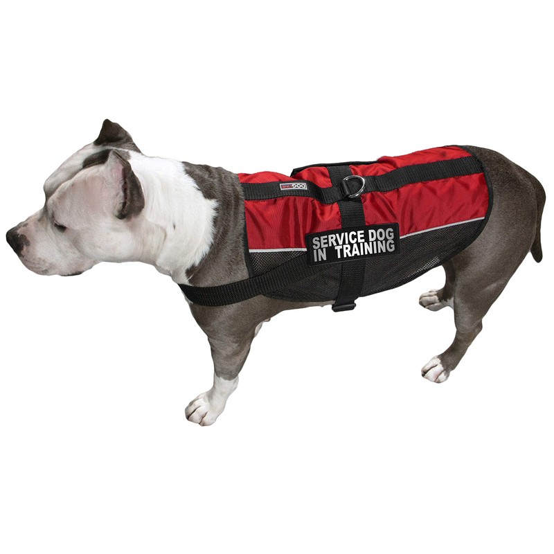 Dogline Removable Interchangeable Service Dog in Training Patches - for