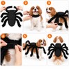 Spider Costume for Cats & Small Dogs – Black Halloween
