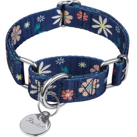Dazzber Martingale Collar Floral Print Puppy Dog Collar - No Pull Pet Collar, Heavy Duty Adjustable Dog Collar, Small, Neck 10 Inch -15 Inch, Elegant Flowers (Dark Blue)
