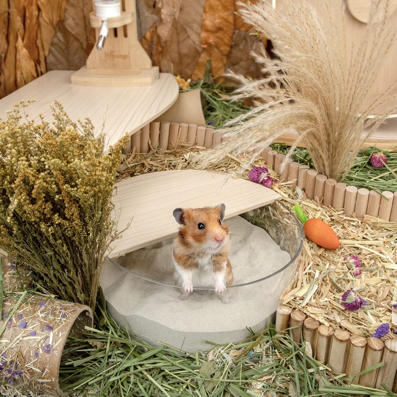 Niteangel Training Litter Potty Sand - Hamster Sand Bath for