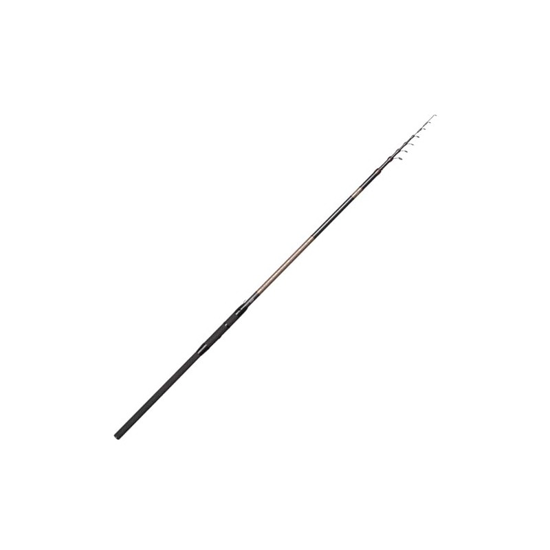 Trout Master Sbirolino Rod for Trout Fishing 3 m 5-20