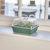 EarlyGrow MPL50032/P Small Robust Propagator 22 x 18 x 12.5