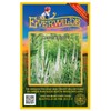 Everwilde Farms - 2000 Culver's Root Native Wildflower Seeds -