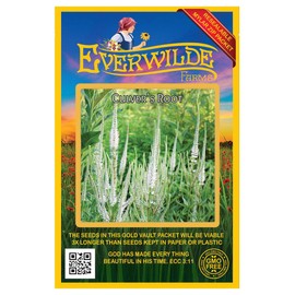 Everwilde Farms - 2000 Culver's Root Native Wildflower Seeds - Gold Vault Seed Packet