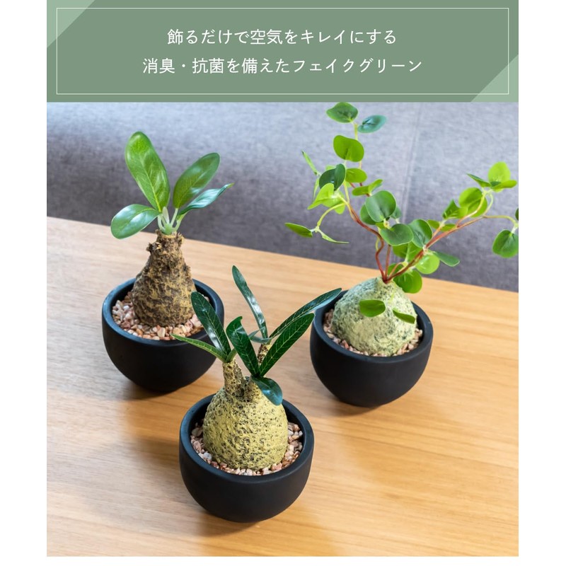 Fake Green Glacilis Codex Eklia Greenery Life Deodorizing Artificial Green