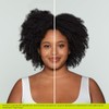 DevaCurl No-Poo Decadence Zero Lather Cleanser For Ultra-Rich Moisture, Green