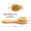 Set Cepillo Corporal Facial Y Esponja Pulpa De Madera Exfo