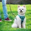 Cat Harness and Lead Set, Escape-Proof Kitten Harness with Retractable