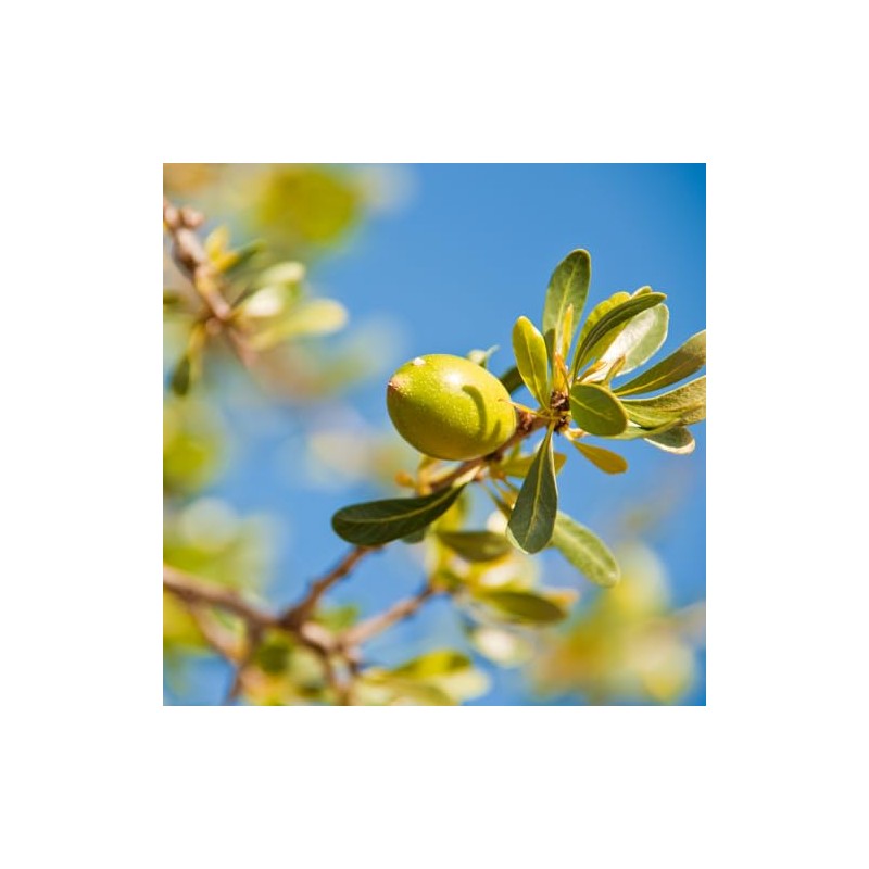 NEAL'S YARD REMEDIES Argan Oil (Base Oil/Carrier Oil) 1.7 fl