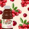 R.W. Knudsen Cranberry Juice Not from Concentrate, 32 fl oz