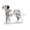 Schleich Dalmation Male
