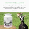 Mt. Capra Goat Milk Lactose | Natural Milk Sugar from