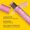 Burt's Bees - Brillo labial hidratante 100% natural, fresa, 1