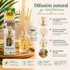 6 Pack Aromatizantes Repelente de Insectos con esencia de citronela.