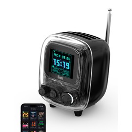 Divoom Tiivoo-2 Retro Bluetooth Speaker, FM Radio Speaker with Cute Wireless Speaker, Small, Fashionable, Multifunctional, Pixel Art, Clock, Album Uploading, White Noise, Gift, Compatible with Android