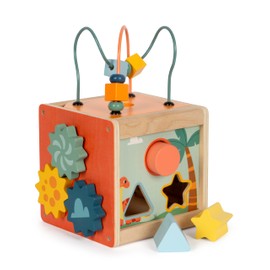 small foot 12618 Dino Motor Skills Cube Activity Cube FSC 100% Certified Wood for Children from 12 Months