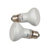 Sundew 2-Pack Reptile Heat Bulb, Dimmable Basking Spot Lamp for