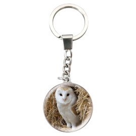 Deluxebase Magnidome - Owl Keychain from Dome Crystal Glass Stainless Steel Key Ring with Picture. Great Key Chain Accessories and Gifts for Men and Women.