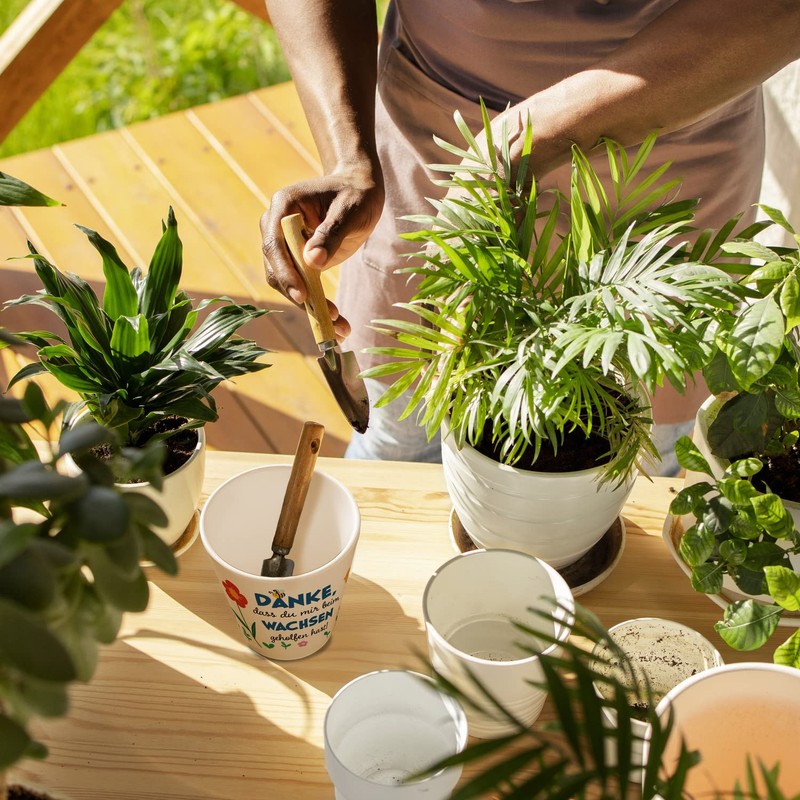 Speecheese Thank you for helping me grow ceramic flower pot