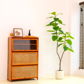 Artificial Rubber Tree for Home Decor 6FT Fake Plant for Indoor, Faux Tree in White Imitation Ceramic Planter Fake Floor Plant for Home Decor and Housewarming Gift (PF-0468, 6FT)