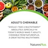 Natures Plus Adult CHEWABLE Multi Pineapple 90 (2 Pack)