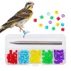FOIBURELY 100 pcs Bird Ring Leg Bands for Gouldian Zebra Finch Canary Society Bird Foot Ring with 1 Installer(Diameter 3mm)