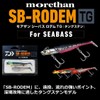 Daiwa Sea Bass/Flounder Lure SB-Rodem TG 30g, Chart H Sardine