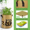 Florelf Visible Potato Grow Bags 10 Gallon with Flap 3-Pack,Potatoes