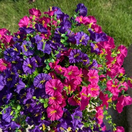 RIESEK 10 Bundles Artificial Flowers for Outdoor,UV Resistant Fake Petunia Flowers,Faux Plants for Outside Hanging Planters,Artificial Plants for Indoor Porch Garden Home Wedding Decor(Fuchsia,Purple)