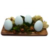 Eggcetera Ceramic Nest Eggs 4-Pack (Ameraucana)