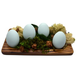 Eggcetera Ceramic Nest Eggs 4-Pack (Ameraucana)