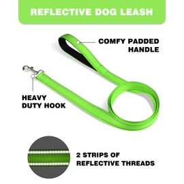 Erbine 6ft Dog Leash for Small Medium Large Dogs | One-Sided Reflective Nylon | Padded Handle | 3/4 inch Wide | Green