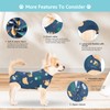 comwish Comwish Recovery Suit for Dogs, Dog Surgery Recovery Suit
