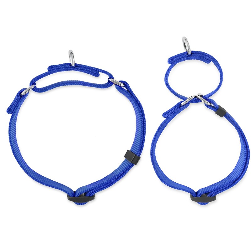 Strong Nylon Not Escapable Martingale Dog Collar for Medium Boy
