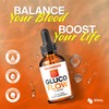 (3 Pack) Gluco Flow Drops – Premium Plant-Based Daily Liquid