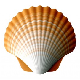 Scallop Porcelain Swimming Pool Mosaic (4" X 4")