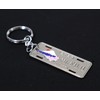 Castle Enterprise Japanese Souvenir Keychain (License Plate Mt.FUJI)