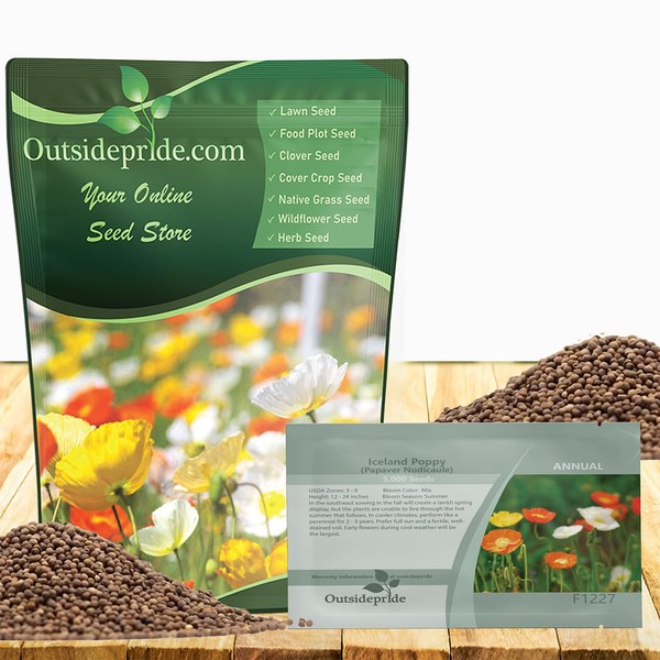 Outsidepride Iceland Poppy Seeds for Planting Outdoors - 1/8 Lb.