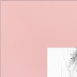 ArtToFrames 17x28 inch Baby Pink Stain on Beech Wood Picture Frame, 2WOM0066-81792-YPNK-17x28