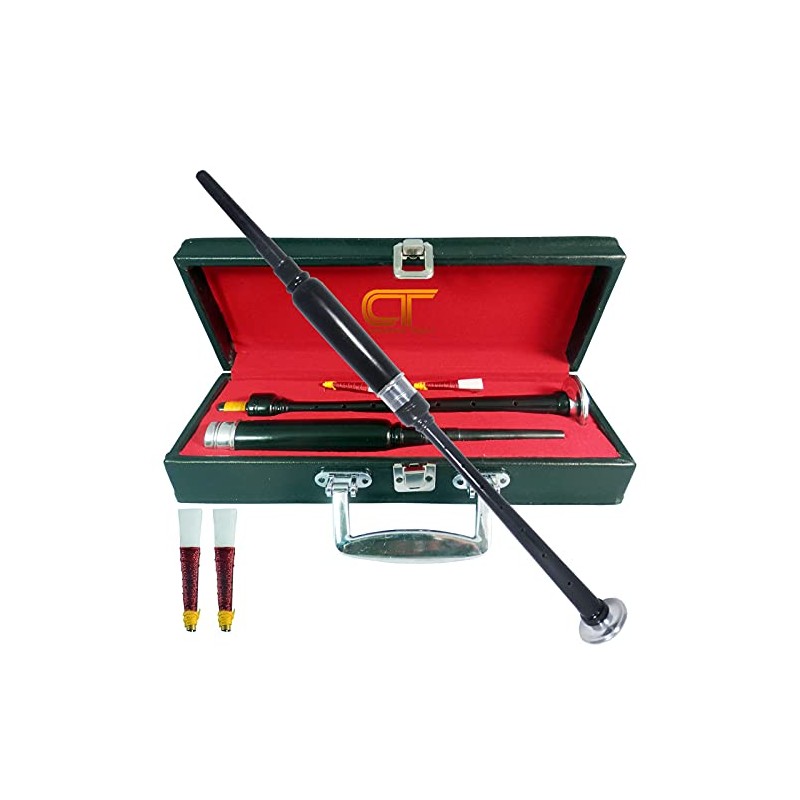 Scottish Highland BagPipe Practice Chanter, Carrying Case & Reeds by