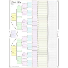 Family Tree Chart; Compact 8 Generation Pedigree Chart 120g Paper (Coloured, Folded)