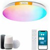 HomeKit Smart LED Ceiling Lights RGBCW Color Changing Ceiling Light