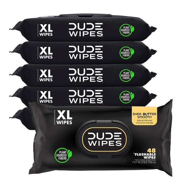Dude DUDE Wipes - Flushable Wipes - 6 Pack, 288