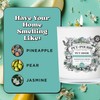 Pet-Pourri Pawsitively Fresh Pet Odor Deodorizer Candle, Burns Up to