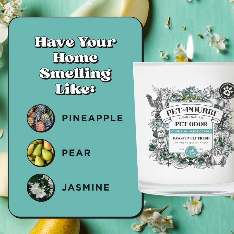 Pet-Pourri Pawsitively Fresh Pet Odor Deodorizer Candle, Burns Up to