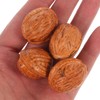 Healifty 20 X Mini Walnut Model Realistic Walnut Design Light